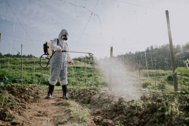 Best Ant Control Services  in Marlow Heights, MD