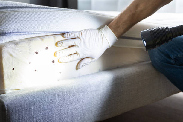 Best Best Pest Control Companies  in Marlow Heights, MD